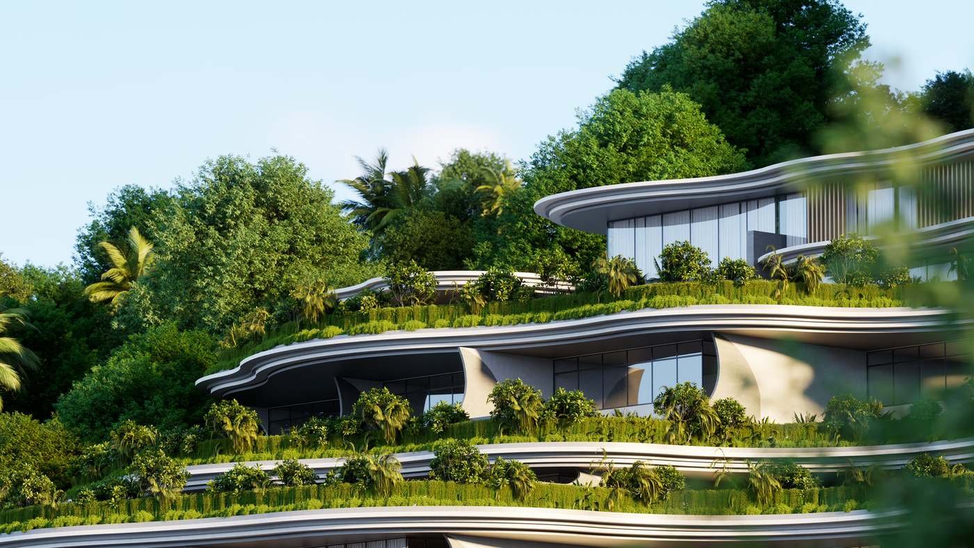 Upper terraces above the tree line